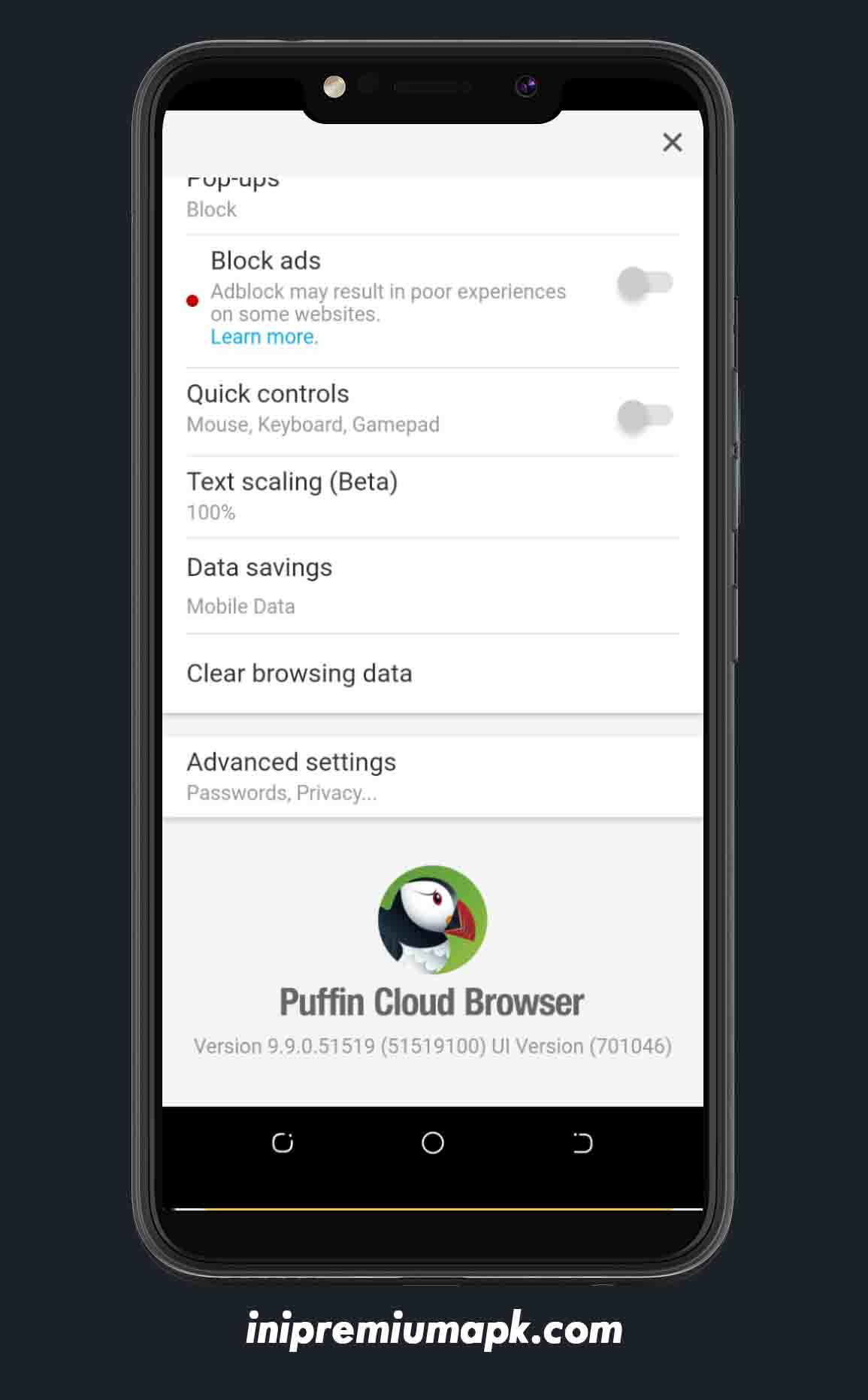 Puffin Browser Pro APK + MOD (Premium Unlocked) 5