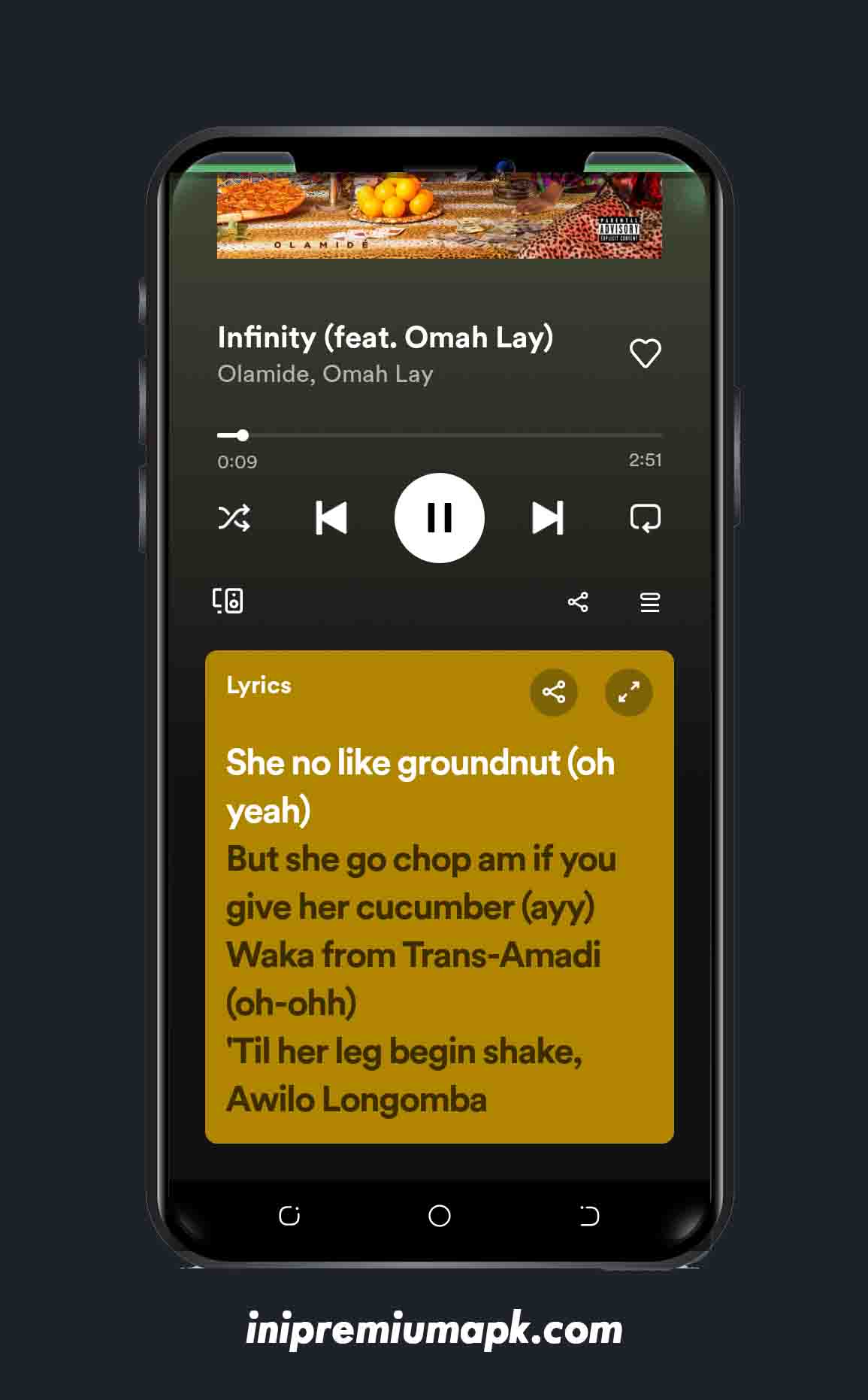 Spotify MOD APK (Premium Unlocked)  4