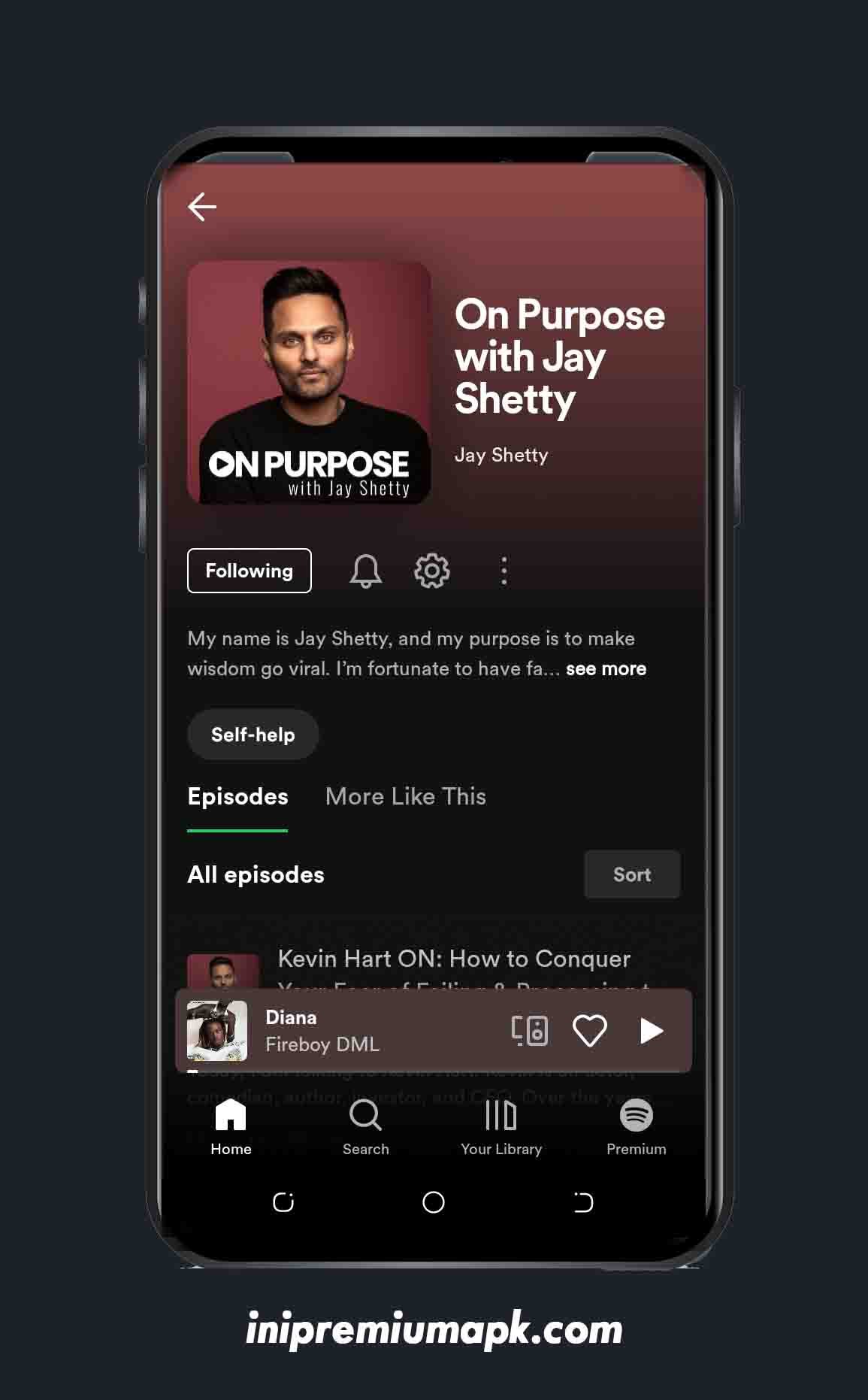 Spotify MOD APK (Premium Unlocked)  6