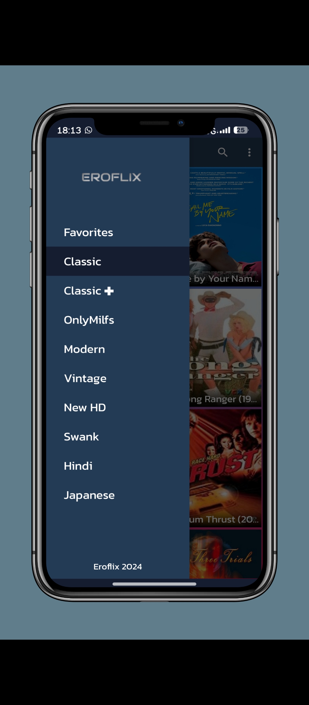 Eroflix MOD APK (Ads removed) 5