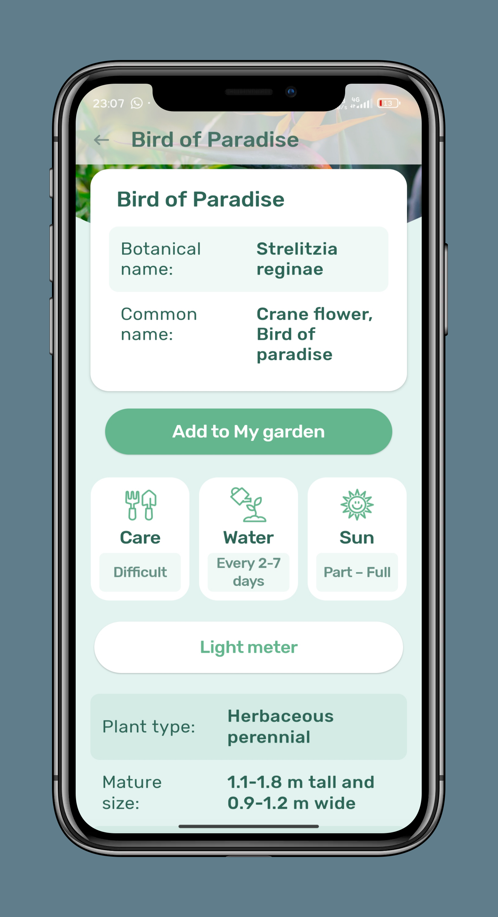 Blossom – Plant Identification (Premium Unlocked) 4