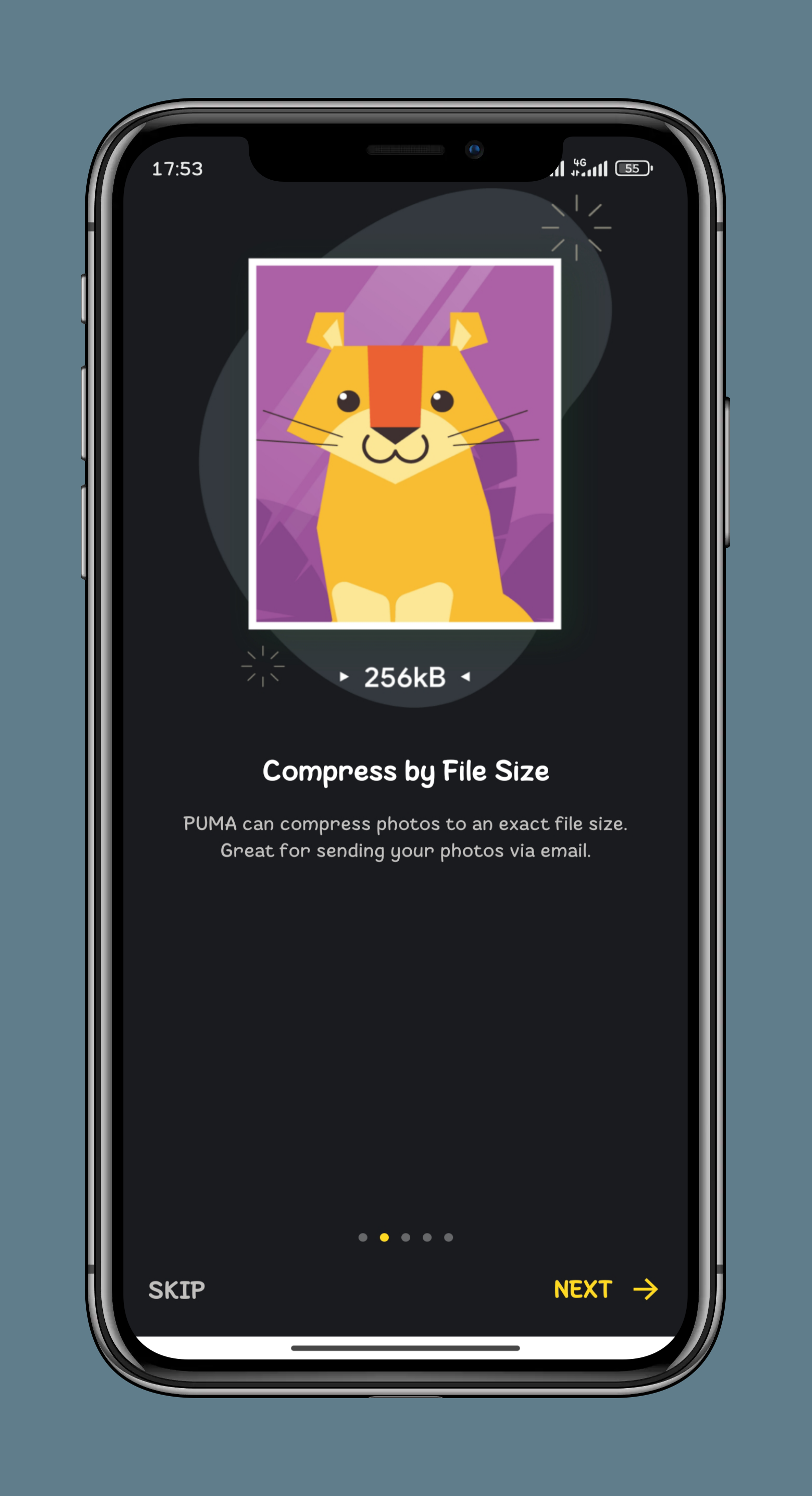 Puma Image Compressor MOD APK (Premium Unlocked) 3