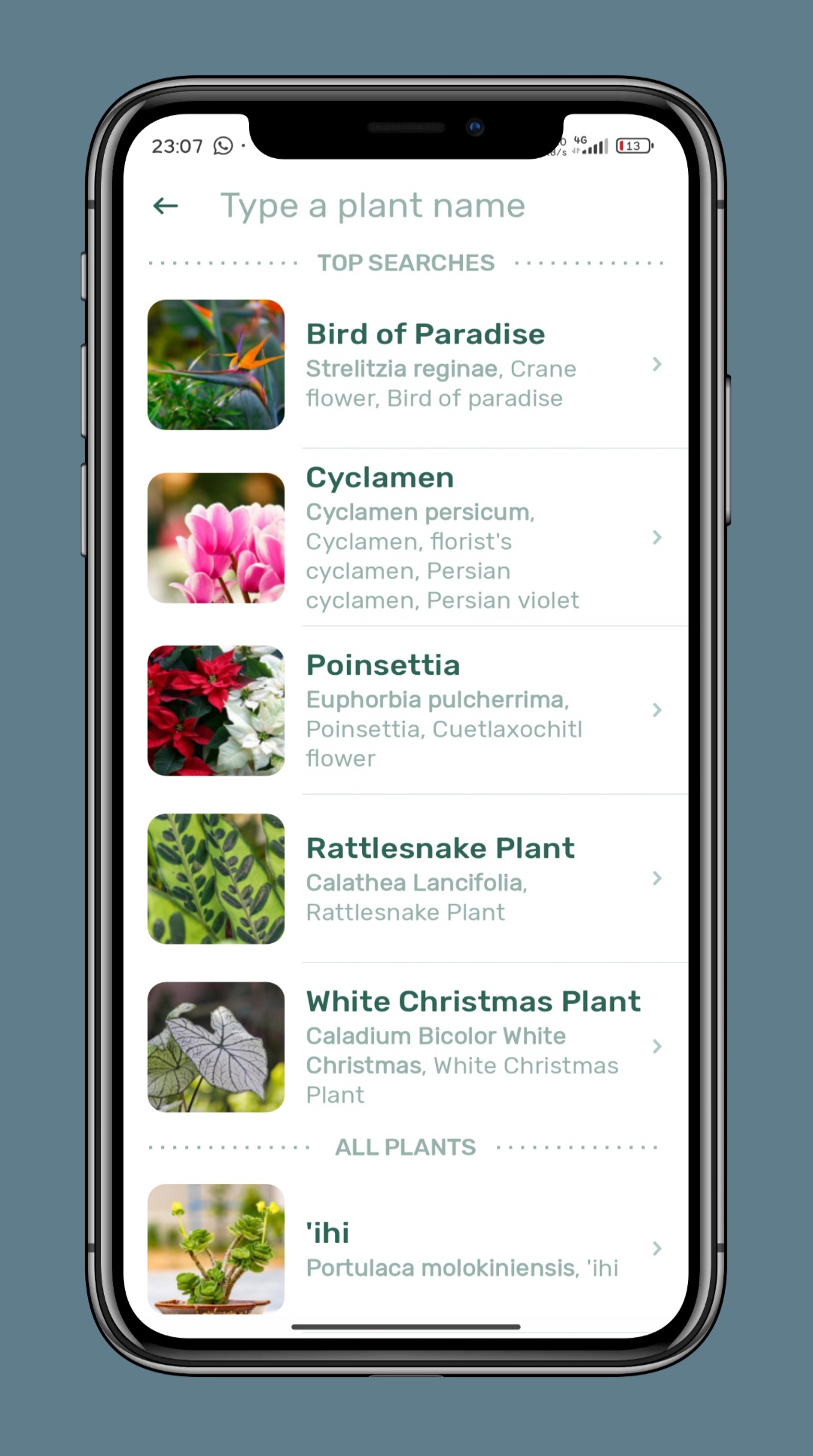 Blossom – Plant Identification (Premium Unlocked) 6